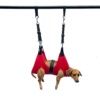 Pet Grooming Hammock