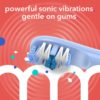 Sonic Electric Toothbrush